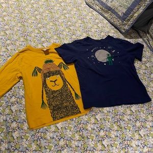 Hanna Andersson T-shirt bundle Sz 5